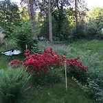 Romantisches Kleines Altes Haeuschen Im Zauberwesenwald
