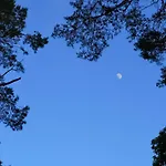 Romantisches Kleines Altes Haeuschen Im Zauberwesenwald